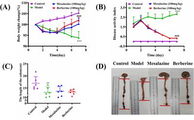 Comprehensive plasma metabolomics analysis of berberine treatment in ulcerative colitis rats by LC-MS/MS